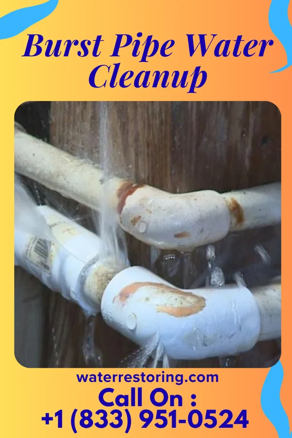 Burst Pipe Water Cleanup in Chicago Ridge, IL