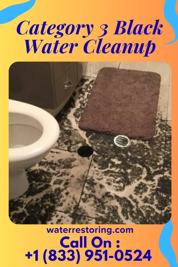 Category 3 Black Water Cleanup in Chicago Ridge, IL