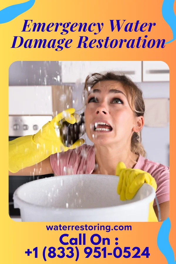 Emergency Water Damage Restoration in Chicago Ridge, IL