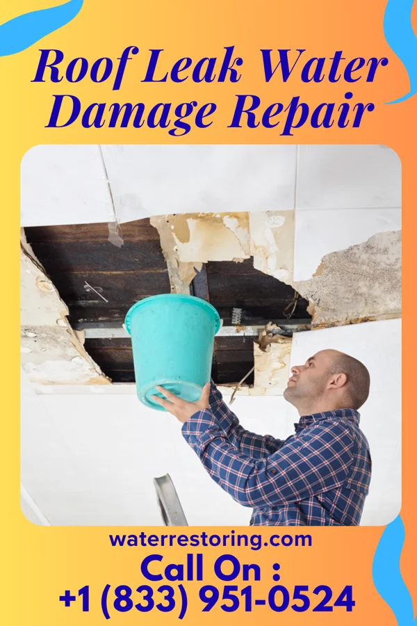 Roof Leak Water Damage Repair in Chicago Ridge, IL