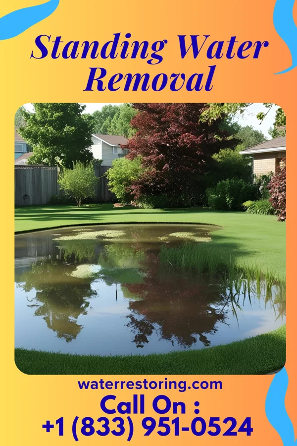 Standing Water Removal in Chicago Ridge, IL